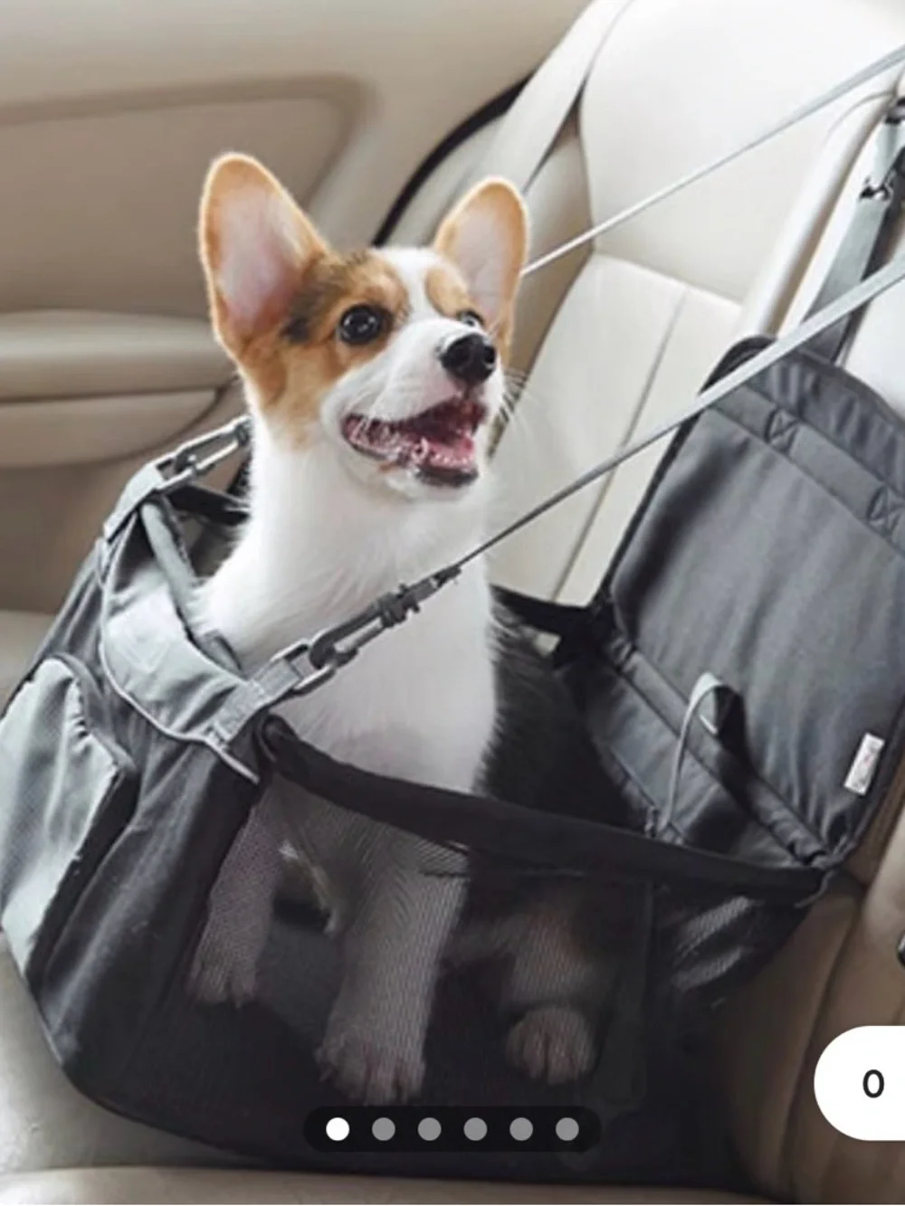 Pet Car Seat Carrier for Dogs by OUTWARD HOUND - Black